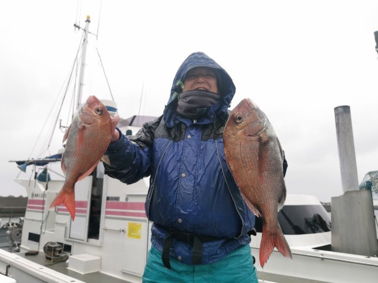  【釣果速報】雨のなか、アジTOP50匹獲ったどー！外道にマダイも！神奈川県孫武丸でクーラーBOXいっぱいのアジを手に入れよう！ 