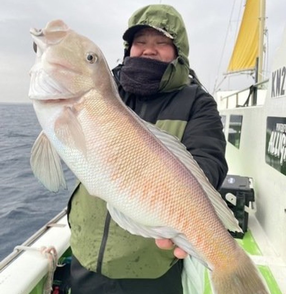 【釣果速報】神奈川県たいぞう丸でハイパー高級魚シロアマダイが連続ヒット！魚界トップクラスの味をご堪能あれ！