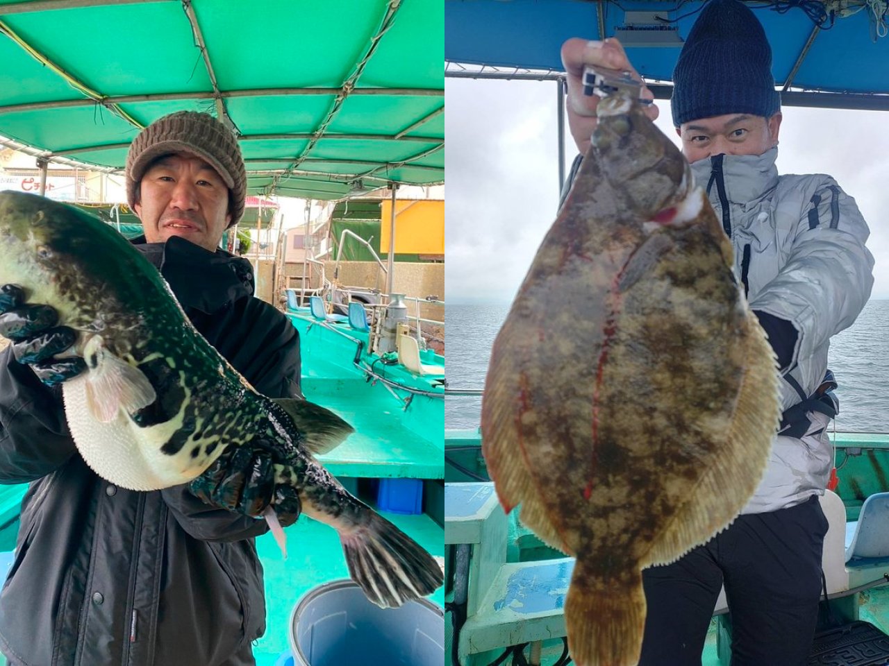 【釣果速報】兵庫県釣り船 名田屋でショウサイフグが絶好調！52cmのジャンボトラフグも上がってます！