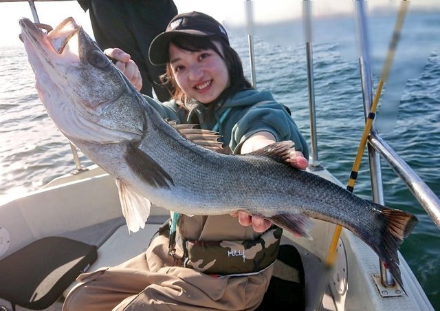 PLAYFUL FISHINGは釣り客の半分が釣り未経験者！デビューを飾る船に選ばれる理由とは？【口コミも掲載】