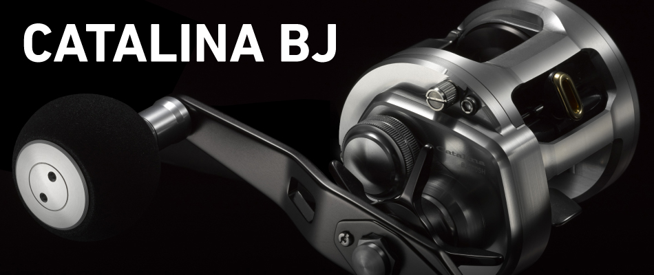 ダイワ キャタリナBJ200SH DAIWA タイラバ ジギング | tspea.org