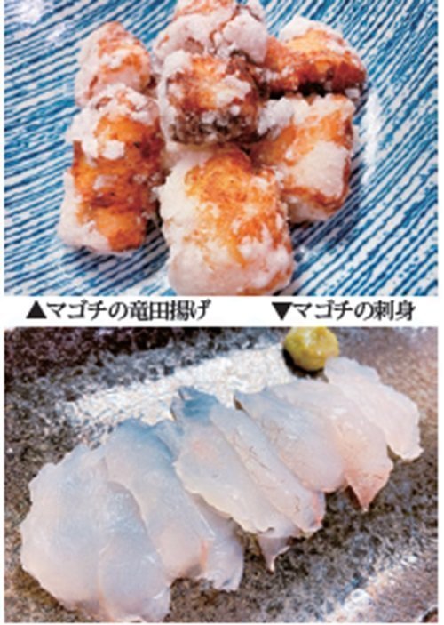 なおちゃんねる（第22回）］ドキドキ感がたまらない！ シーズン