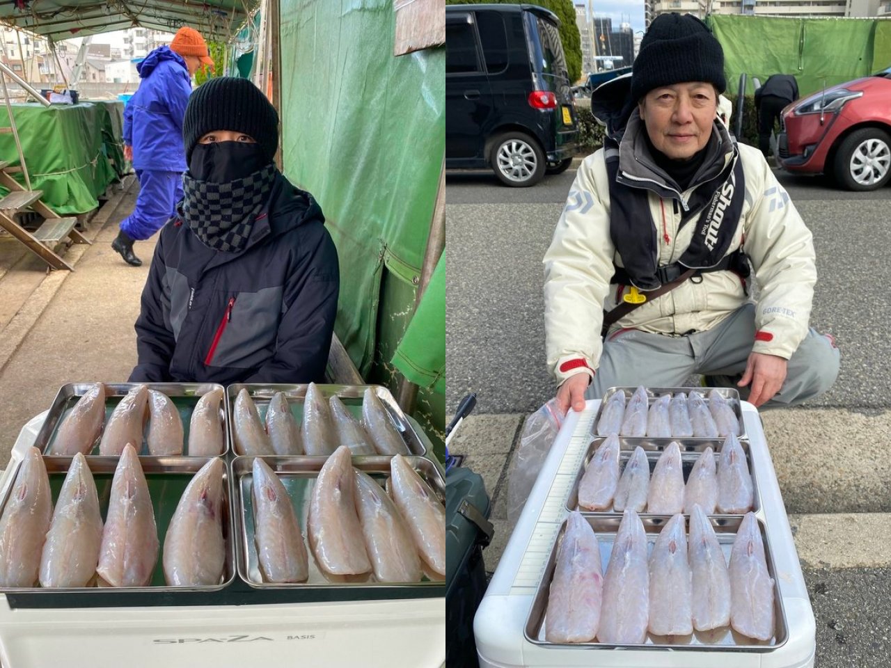 【釣果速報】兵庫県釣り船 名田屋でショウサイフグが絶好調！40cmのジャンボサイズも上がってます！