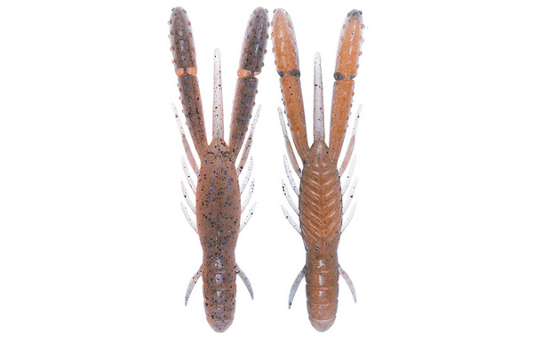 ワームのアップ写真