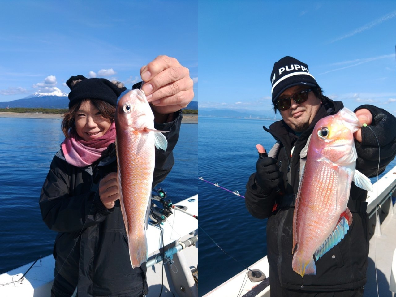 【釣果速報】静岡県昌福丸でハイパー高級魚シロアマダイがヒット！魚界トップクラスの味をご堪能あれ！