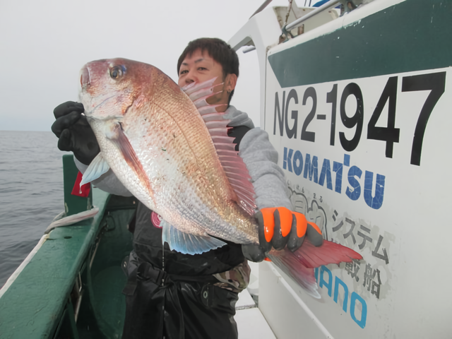 【釣果速報】新潟県なかくに丸でマダイ船中17匹！活性上々で豪華なゲストが釣れる最高のシーズンに突入！
