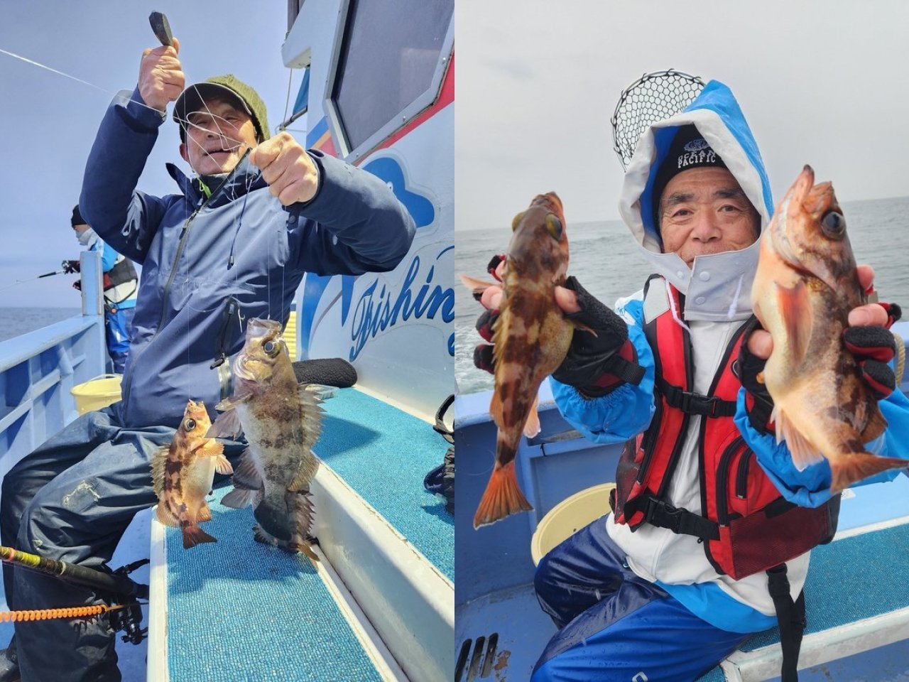 【釣果速報】メバル・ハタ・カサゴと高級魚大集結！茨城県宗和丸で富豪気分を味わおう！