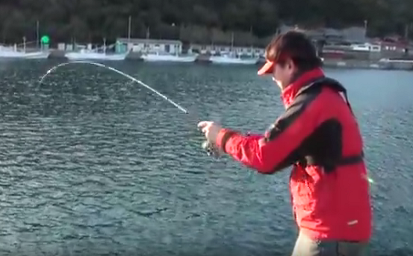 港　釣り人　写真