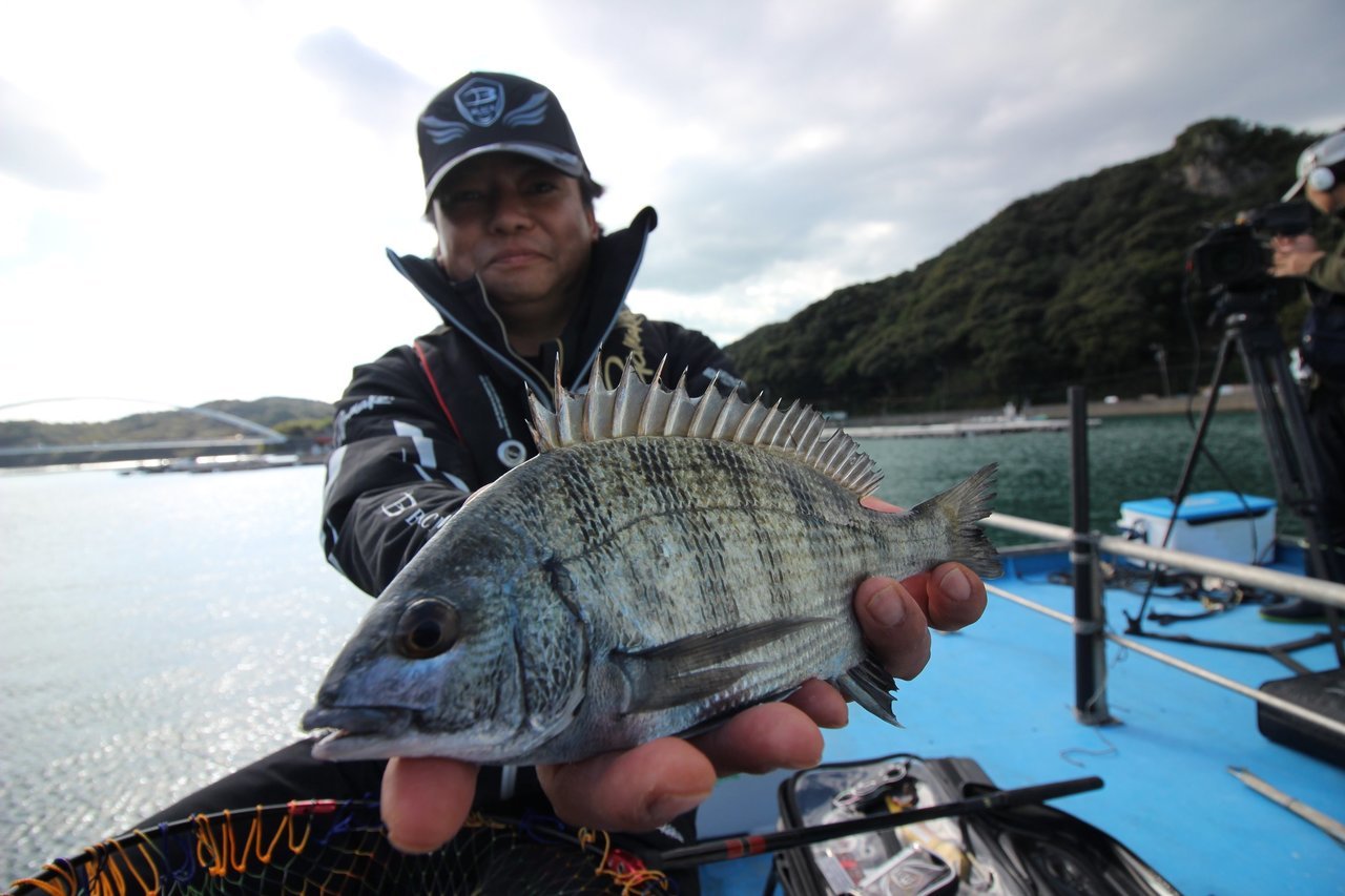 マチ釣針42号70本土佐丹吉 最終大特価 こんがらかっ