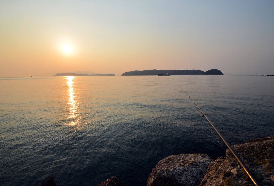 釣り　海　釣り竿　写真