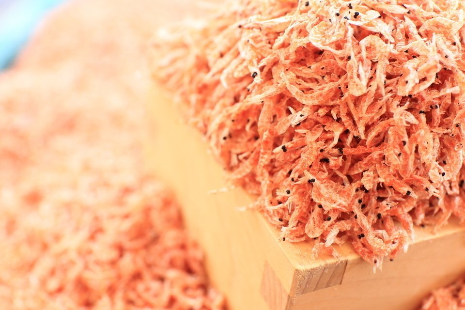 オキアミ　コマセ　写真