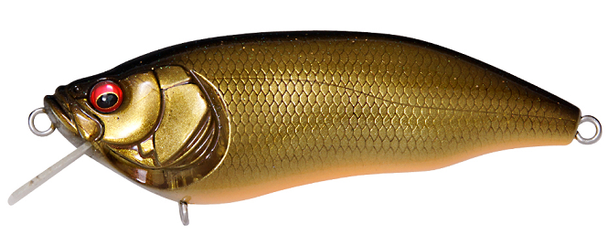 ルアーのアップ写真