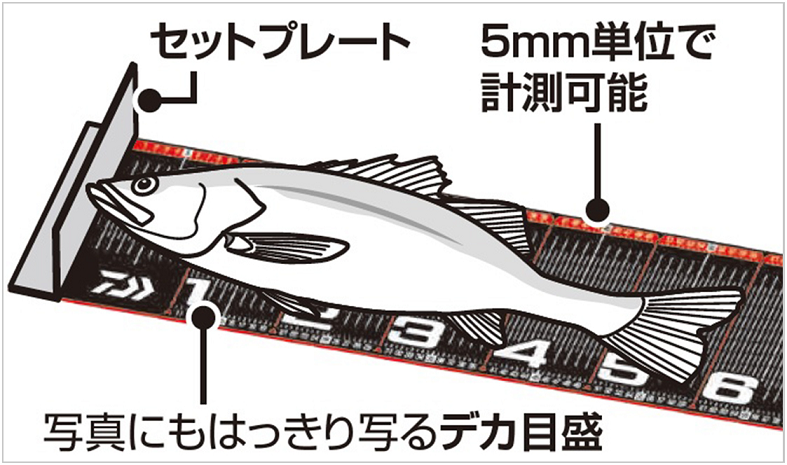 メジャーと魚のイラスト