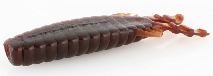 ワームのアップ写真