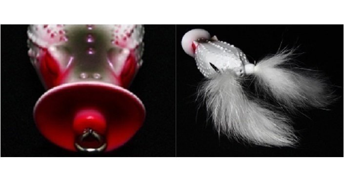 フロッグ　写真