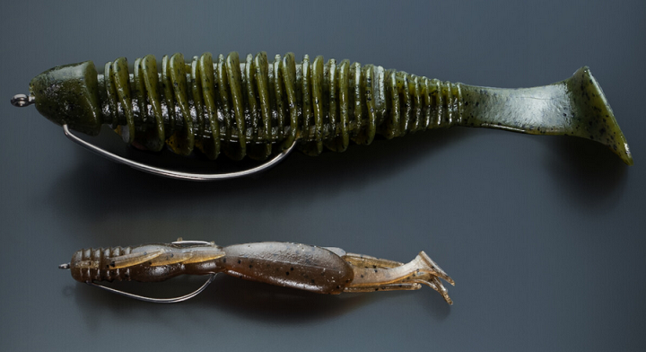 ワームとフックのアップ写真