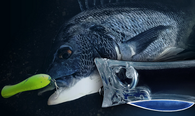 魚とルアーのアップ写真