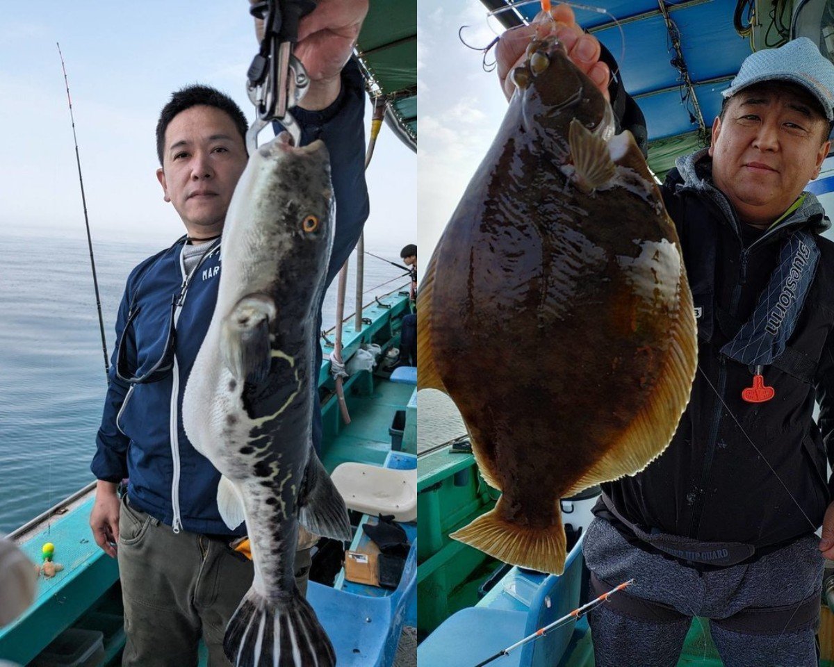 【釣果速報】兵庫県釣り船 名田屋でトラフグが絶好調！47cmのジャンボサイズも上がってます！