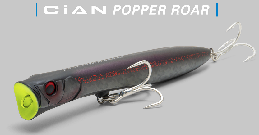 ルアーのアップ写真