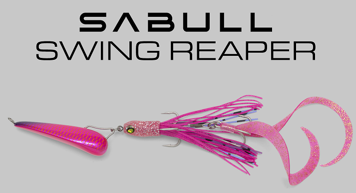 ルアーのアップ写真