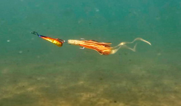 ルアーのアップ写真