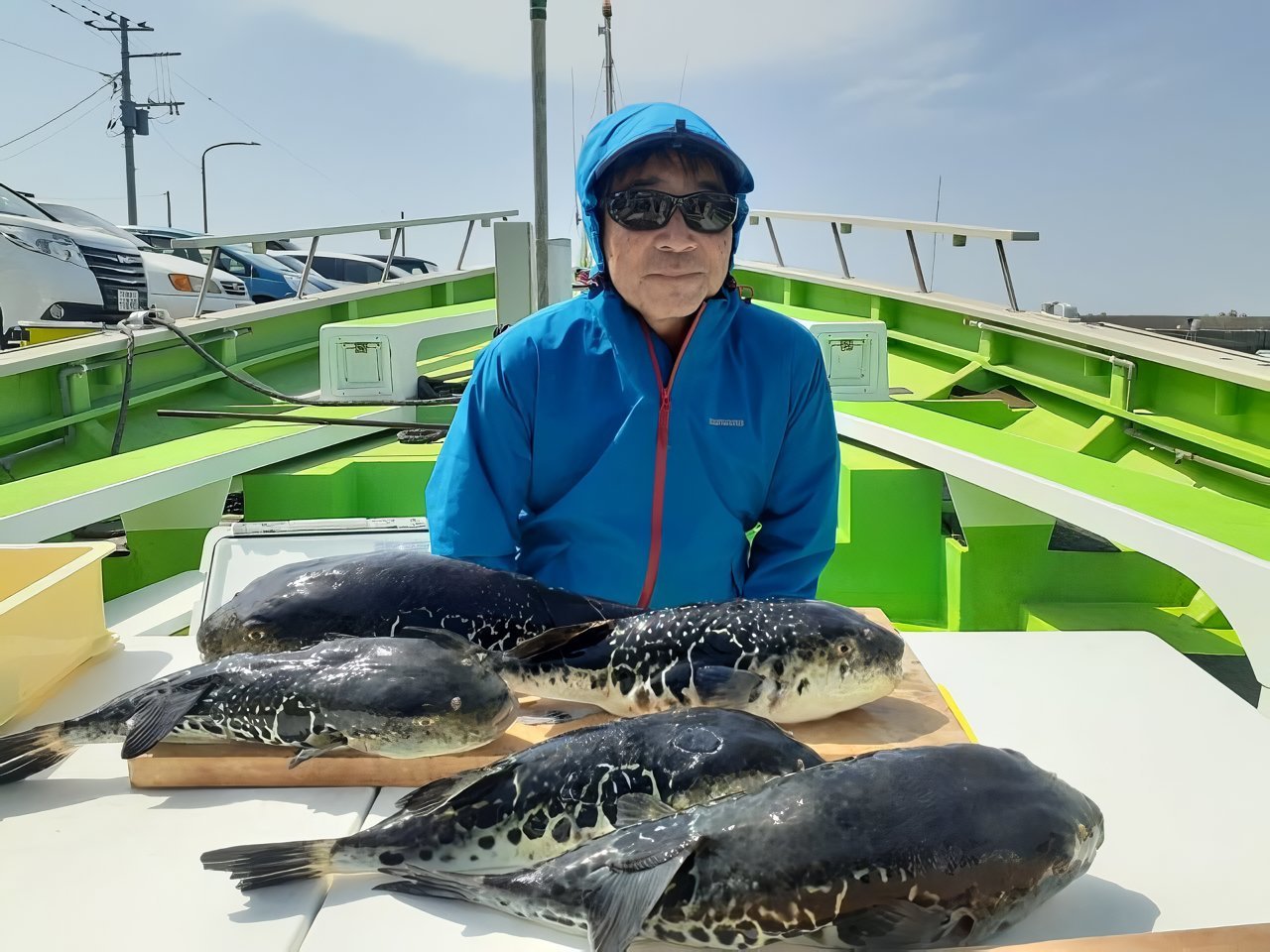 【釣果速報】千葉県利八丸でトラフグが絶好調！3.50kgのジャンボサイズも上がってます！またとない大漁のチャンスを逃すな！