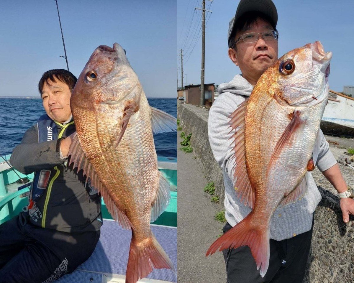 【釣果速報】千葉県富士丸で3.6kgの大鯛上がる！大物マダイを捕まえに行きませんか？