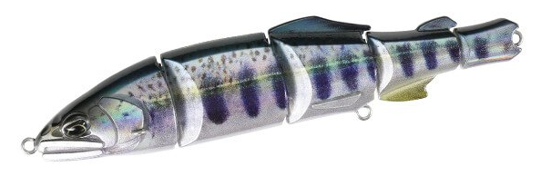 ルアーのアップ写真