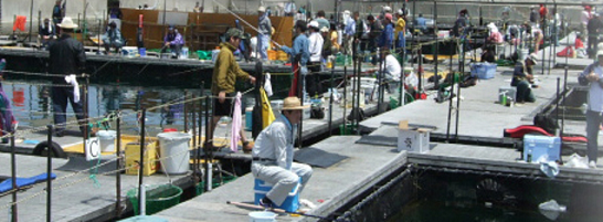 釣り堀の風景