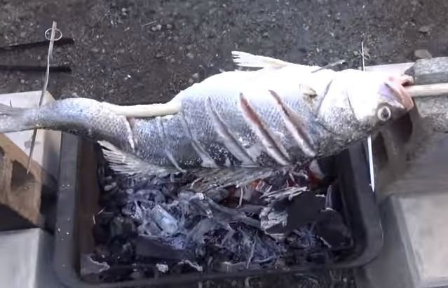 魚　丸焼き　写真