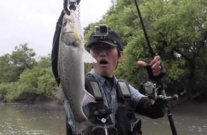 シーバス　男性　画像