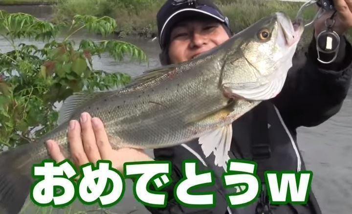 シーバス　男性　画像