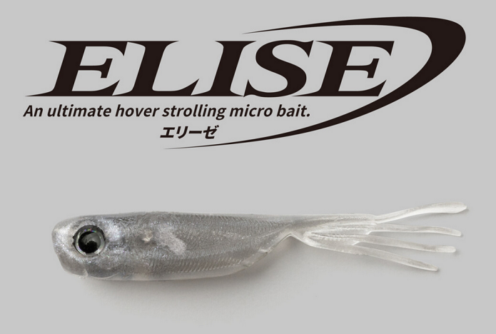 ワームのアップ写真