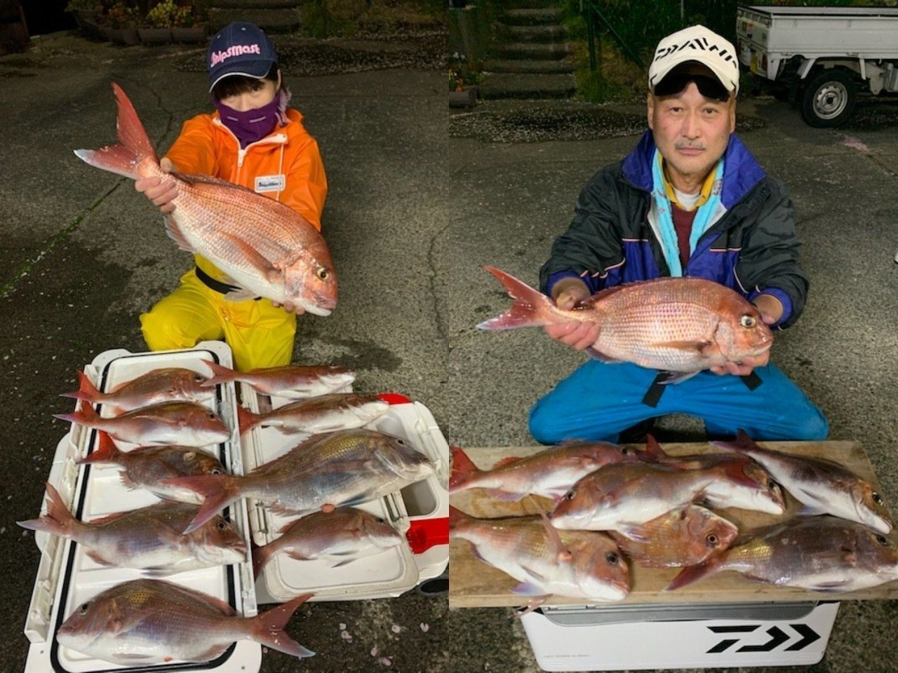 【釣果速報】静岡県魚磯丸でマダイ・アジ・イサキ好調！ラッシュラッシュで船中47匹！今後の釣行も期待大！