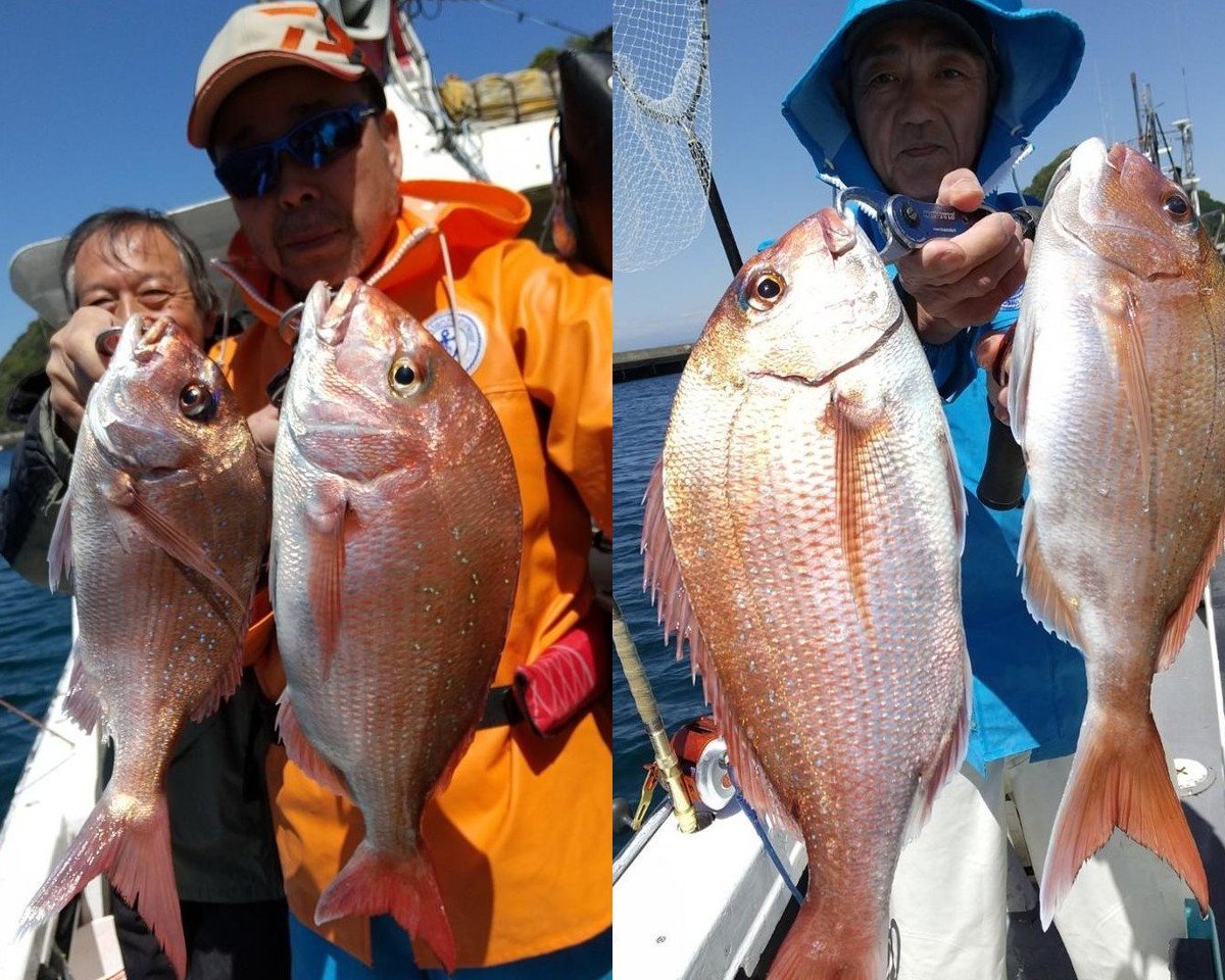 【釣果速報】静岡県魚磯丸で2.2kgの良型マダイをゲット！ヒット多数な今がチャンス！