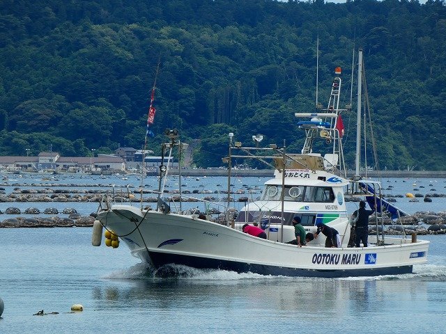 おおとく丸