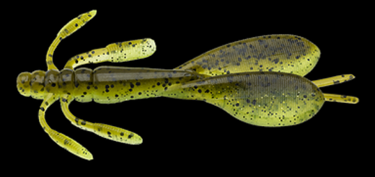 ワームのアップ写真