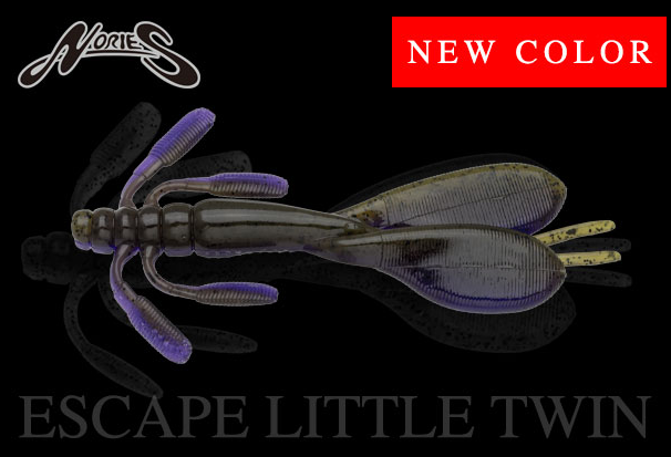 ワームのアップ写真