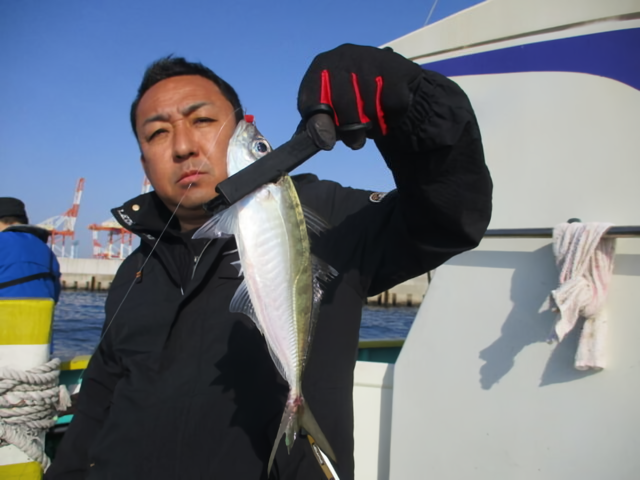 【釣果速報】神奈川県の打木屋釣船店で今日もギガアジ釣れる！釣り人憧れの巨大アジを狙うなら今すぐ乗船予約をしよう！