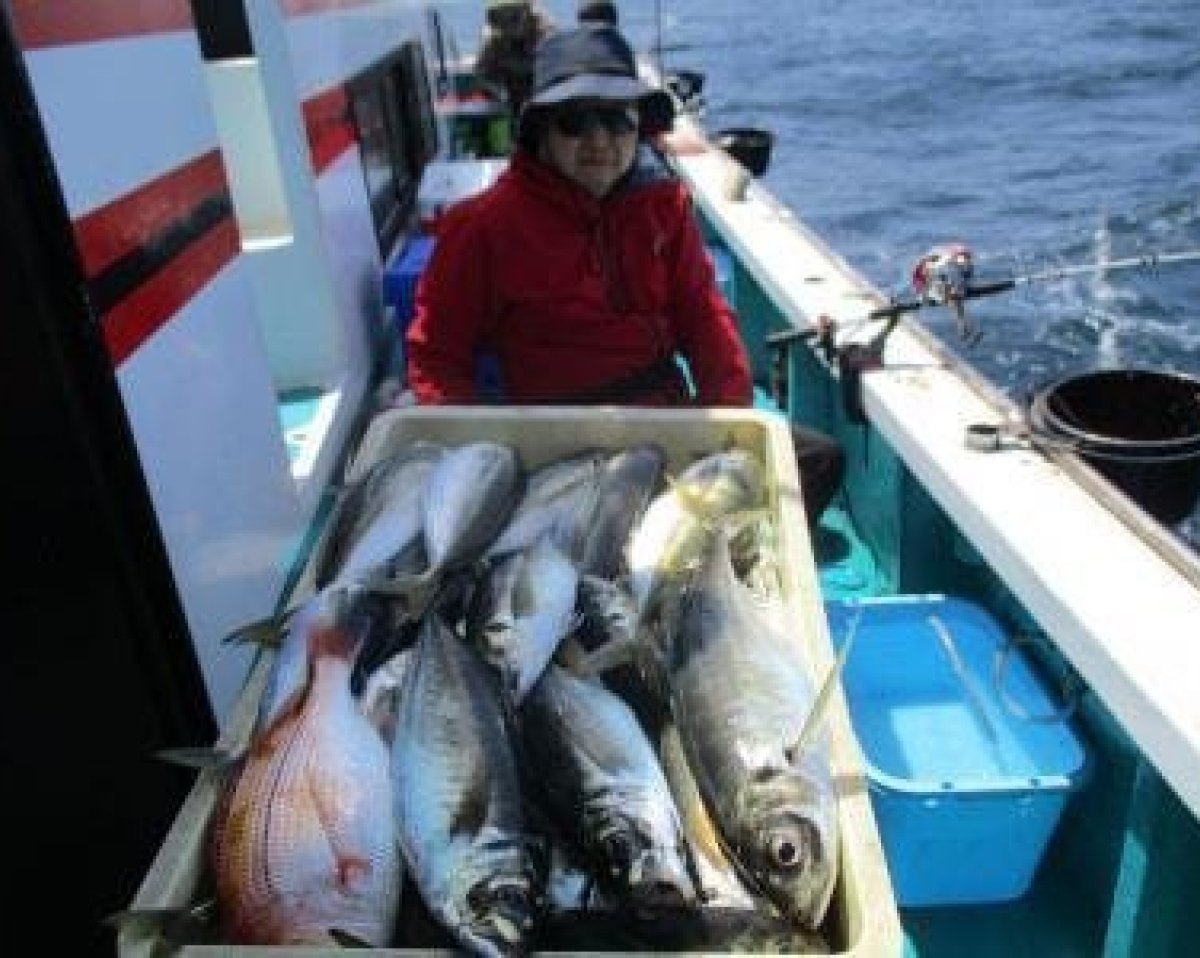 【釣果速報】和歌山県供進丸で特大アジ爆釣！？クーラー満タンの釣果に釣り人大満足！
