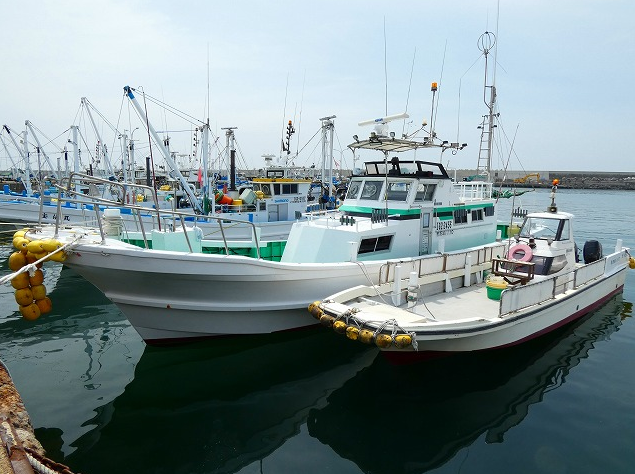 栄光丸で茨城県大洗港沖にいるマダイ・青物・アジ・メバル・根魚を釣り上げたい！釣果+各種サービス総まとめ