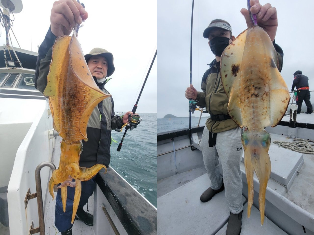 【釣果速報】福岡県Happiness Ⅵで2.00kgの良型アオリイカをキャッチ！今こそ極上イカを手に入れる冒険の旅に出よう！