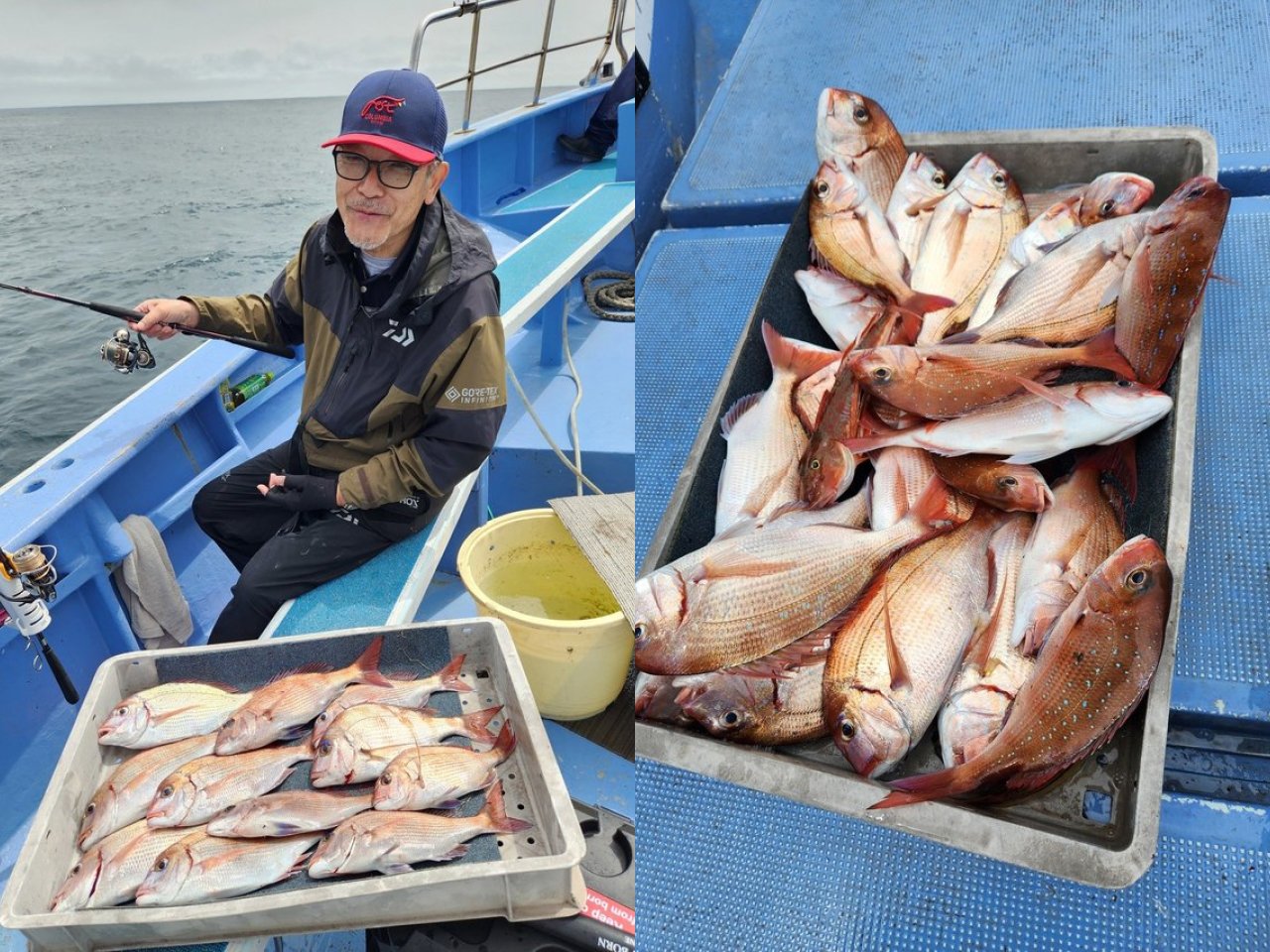 【釣果速報】うねりをものともせずマダイ・ハナダイのヒットが連発！茨城県宗和丸の釣行でクーラーボックスを人気魚種でいっぱいにしよう！