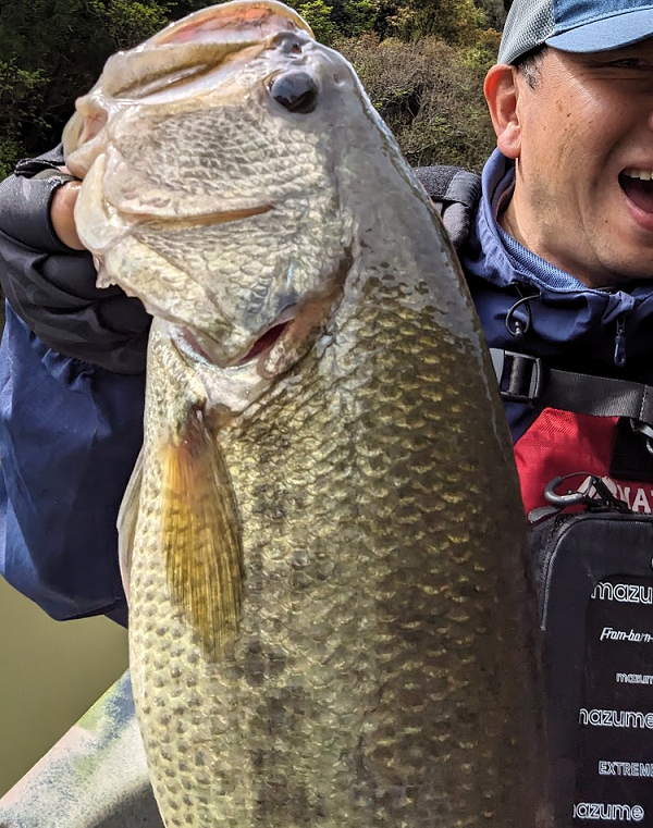 魚のアップ写真