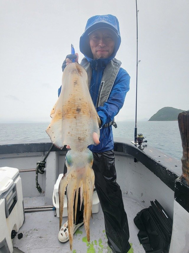 釣果速報】福岡県Happiness Ⅵで3.18kgの大型アオリイカをキャッチ