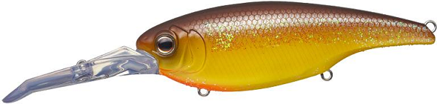 ルアーのアップ写真