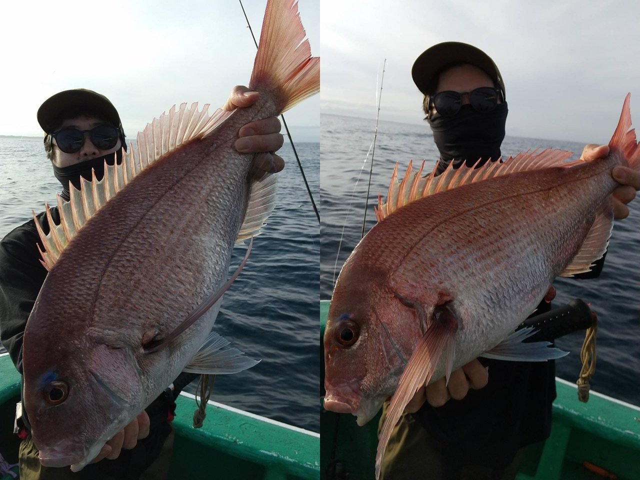 【釣果速報】でか～～～～い！茨城県長岡丸で4.08kgのマダイキャッチ！現在、中～大鯛メインにコンスタントに釣れてる模様です！