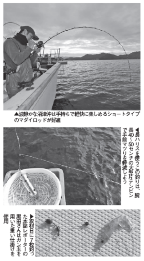 波静かな沼津湾内にマダイ集結 大柄狙いのビックチャンス！