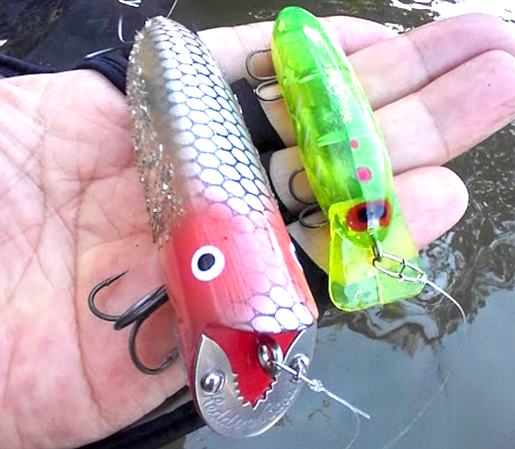 ルアーのアップ写真