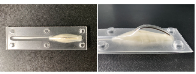 ルアーのアップ写真